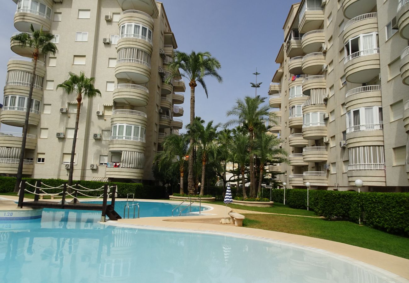 Apartamento en Gandia - TROPICANA PARK 18 - 3ª - 8º - 48ª