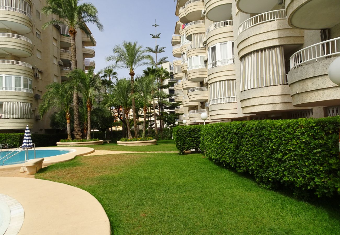 Apartamento en Gandia - TROPICANA PARK 18 - 3ª - 8º - 48ª