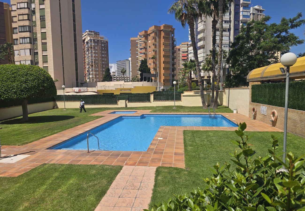 Apartamento en Benidorm - TORRE IPANEMA 12C