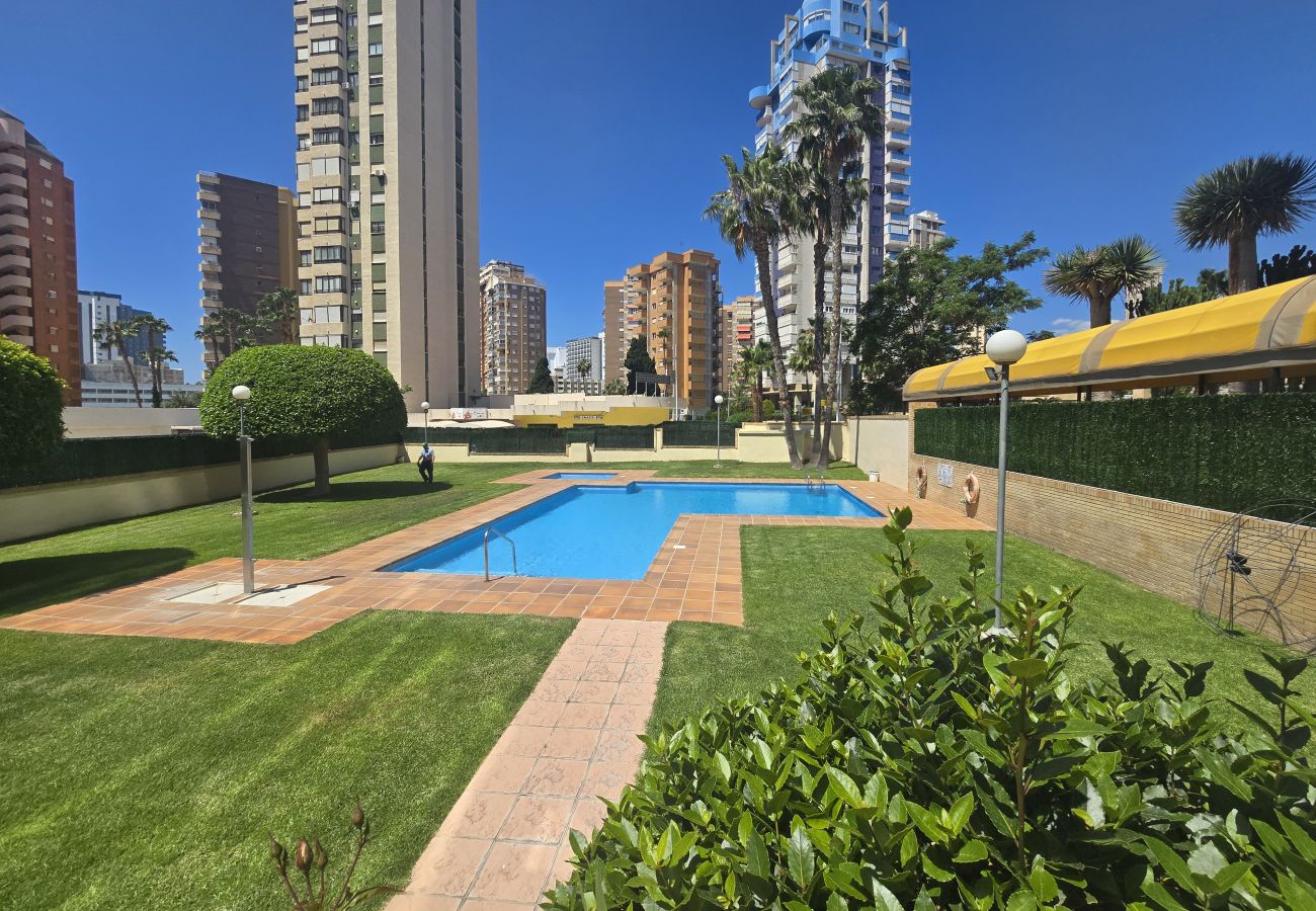 Apartamento en Benidorm - TORRE IPANEMA 12C