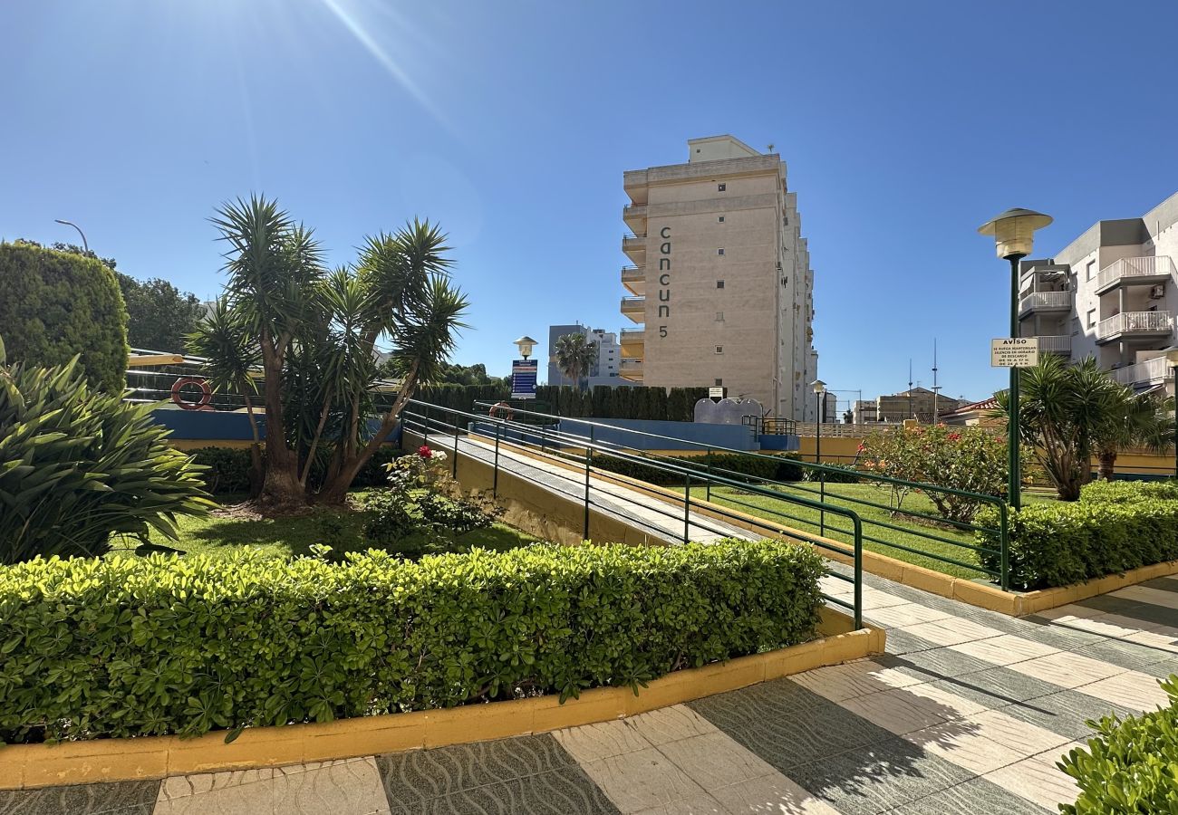 Apartamento en Gandia - CANCUN 8 - 4ª - 4 - G