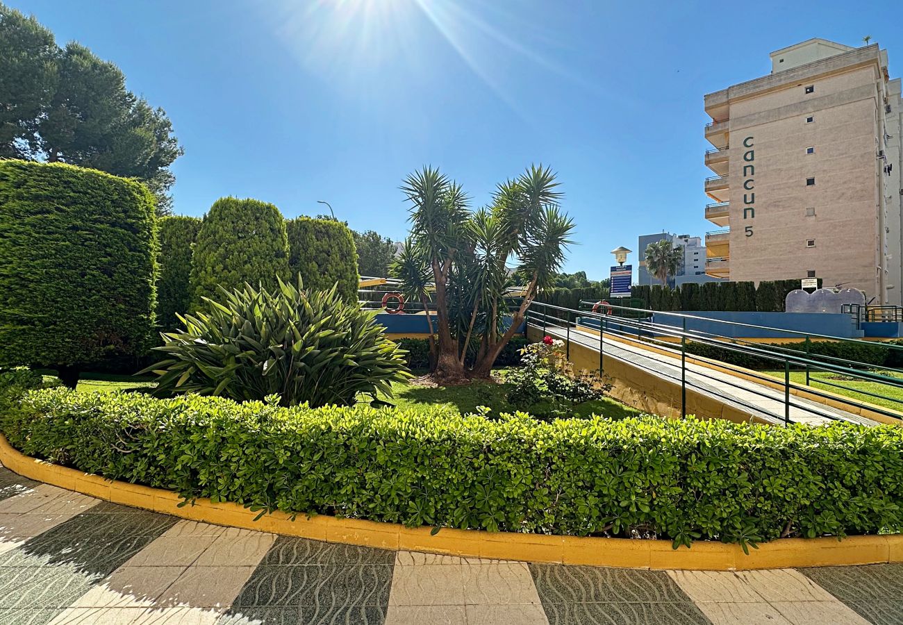 Apartamento en Gandia - CANCUN 8 - 4ª - 4 - G
