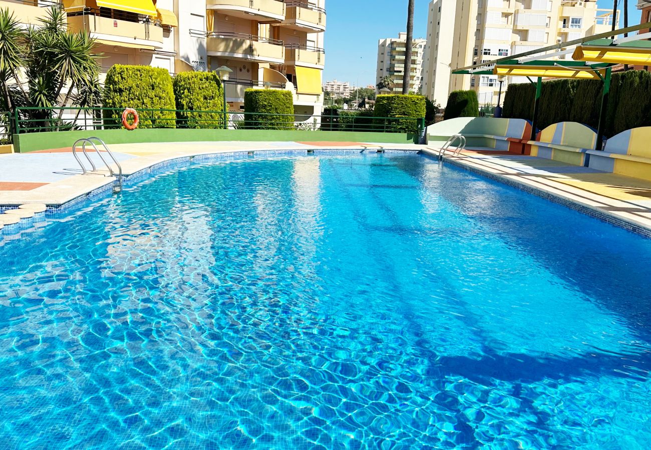 Apartamento en Gandia - CANCUN 8 - 4ª - 4 - G