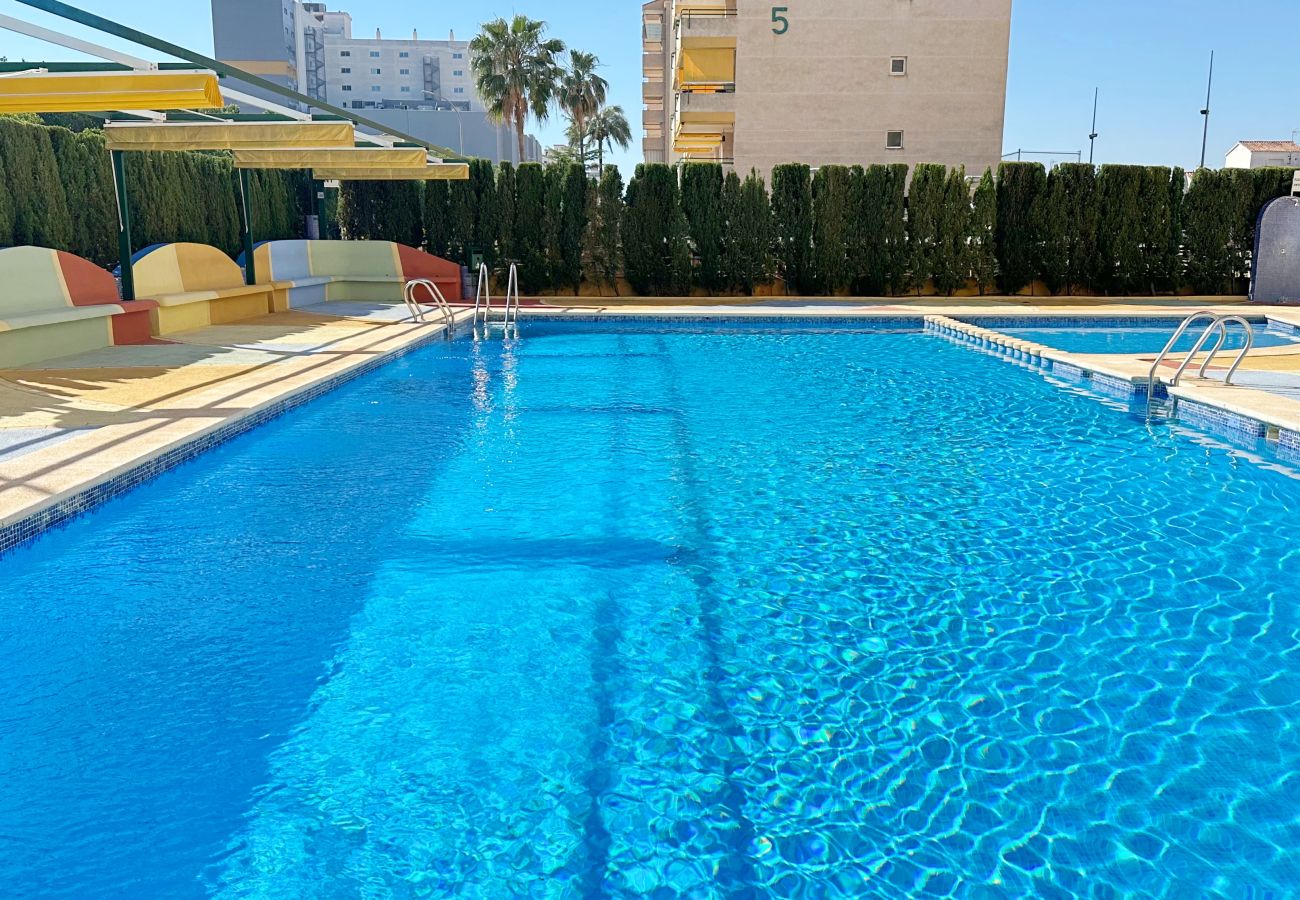 Apartamento en Gandia - CANCUN 8 - 4ª - 4 - G