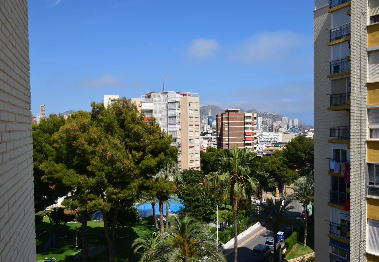 Apartamento en Benidorm - TORRE CLUB MEDICO 7A2
