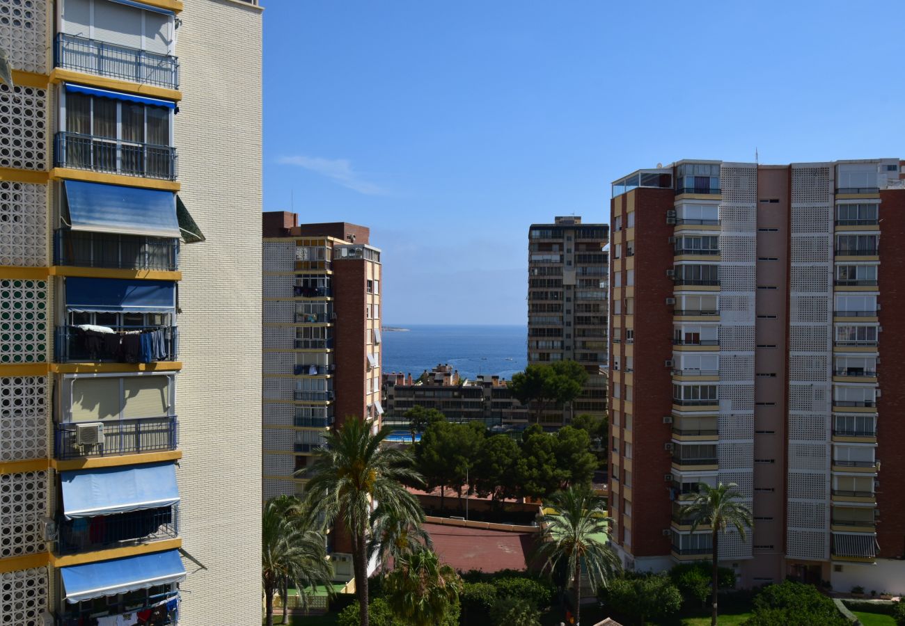 Apartamento en Benidorm - TORRE CLUB MEDICO 7A2