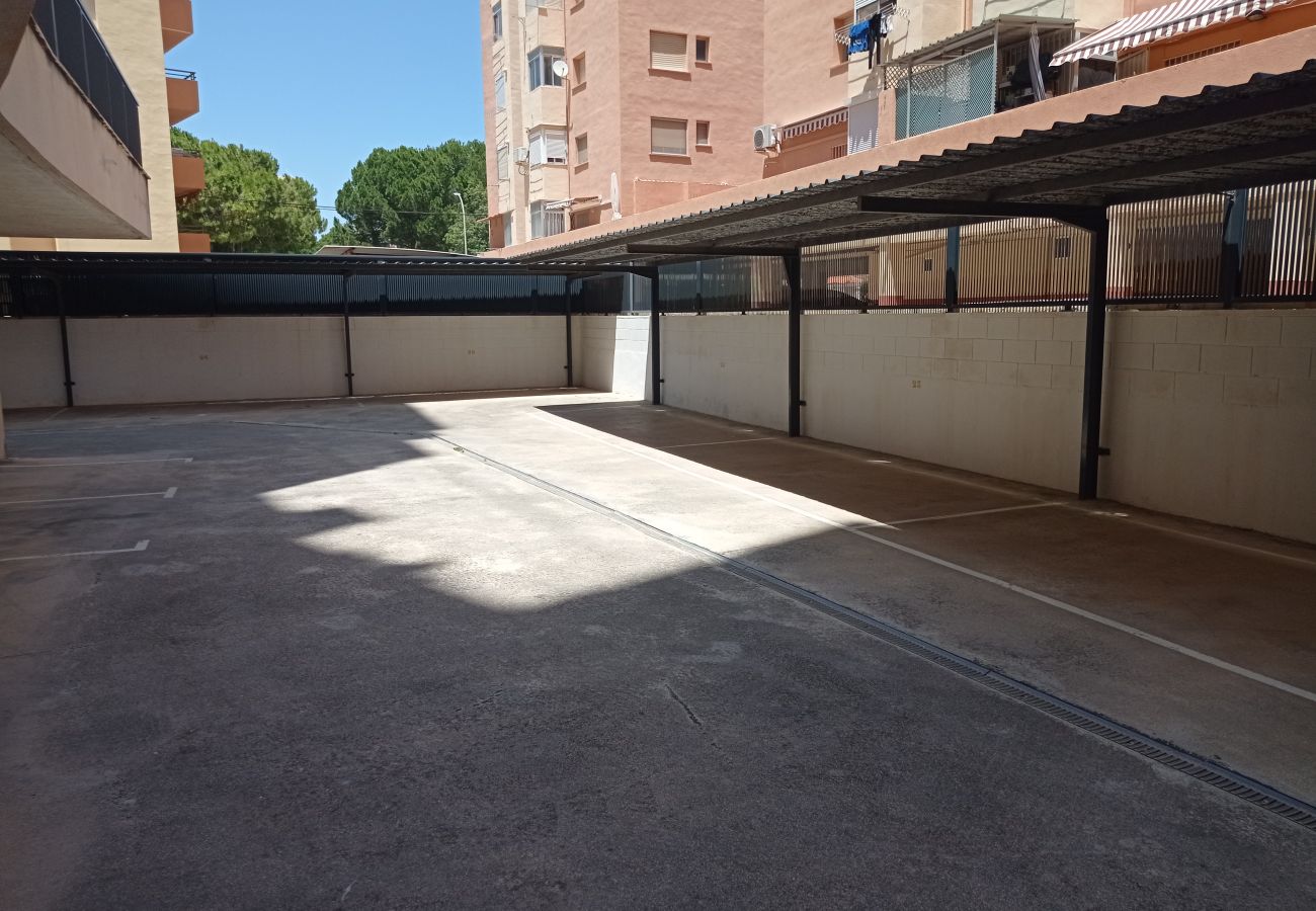 Apartamento en Playa de Gandía - 1.Bahia 8º A