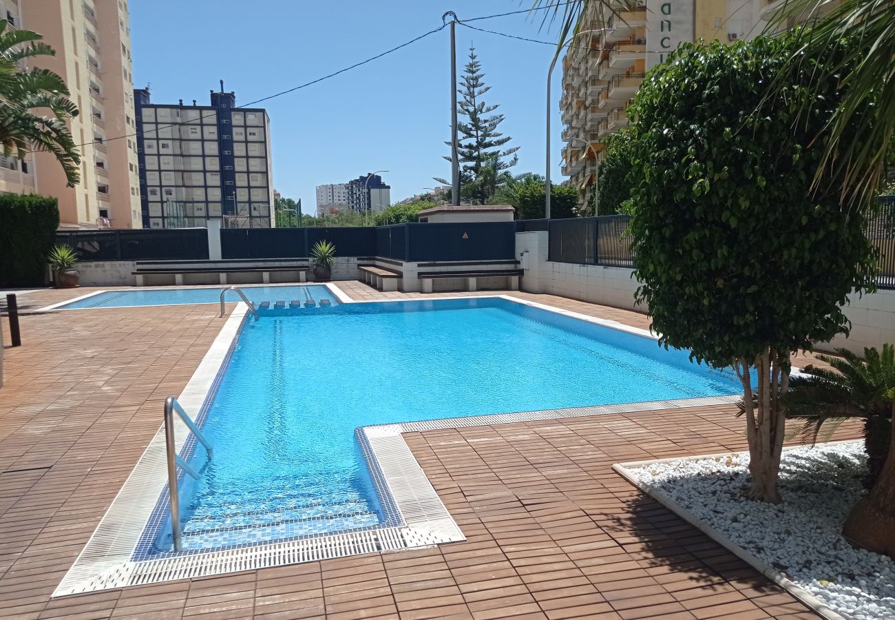 Apartamento en Playa de Gandía - 1.Bahia 8º A