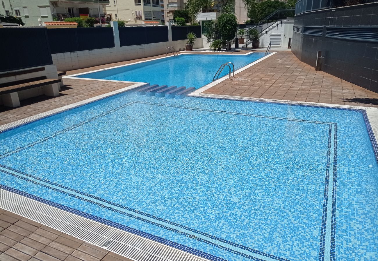Apartamento en Playa de Gandía - 1.Bahia 8º A
