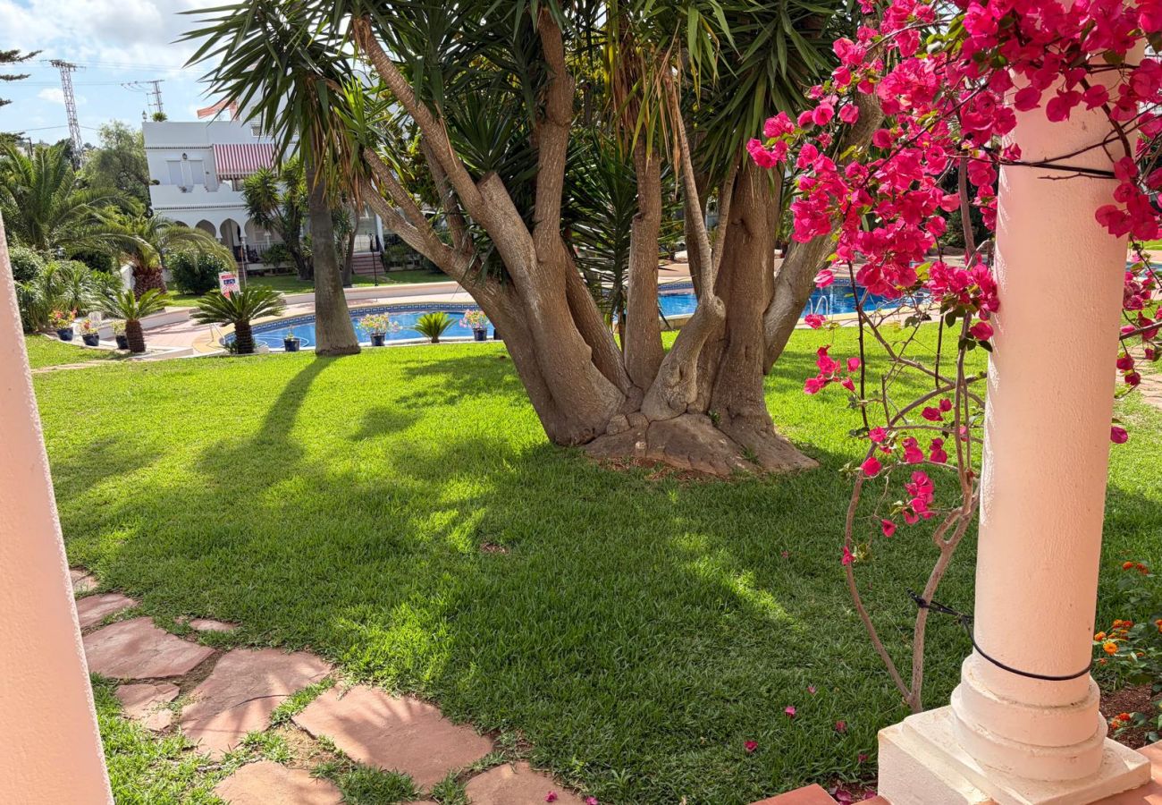 Apartamento en Denia - 124 Al Khalif