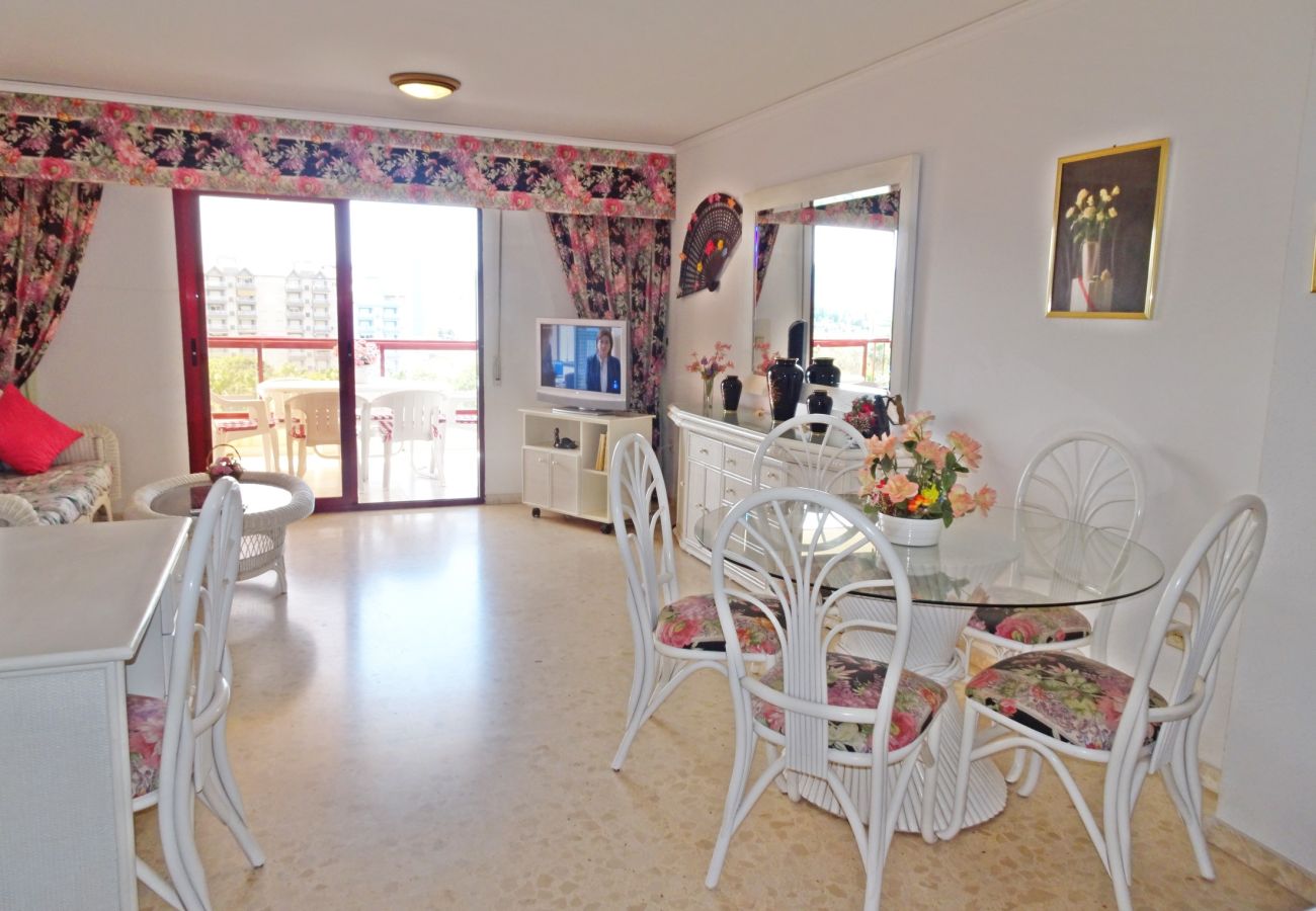 Apartamento en Gandia - SALINAS IV - 1ª - 7º - B