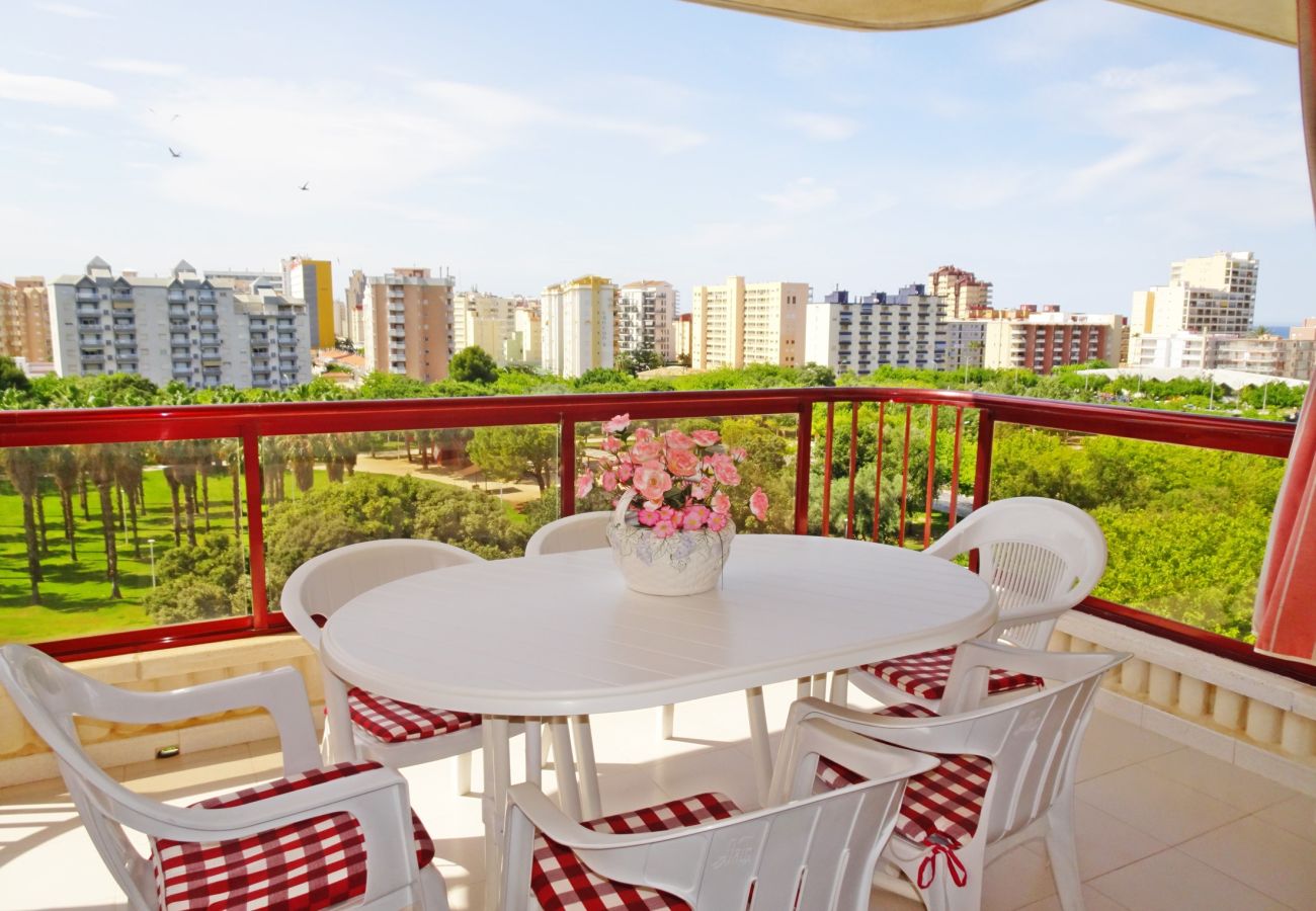 Apartamento en Gandia - SALINAS IV - 1ª - 7º - B
