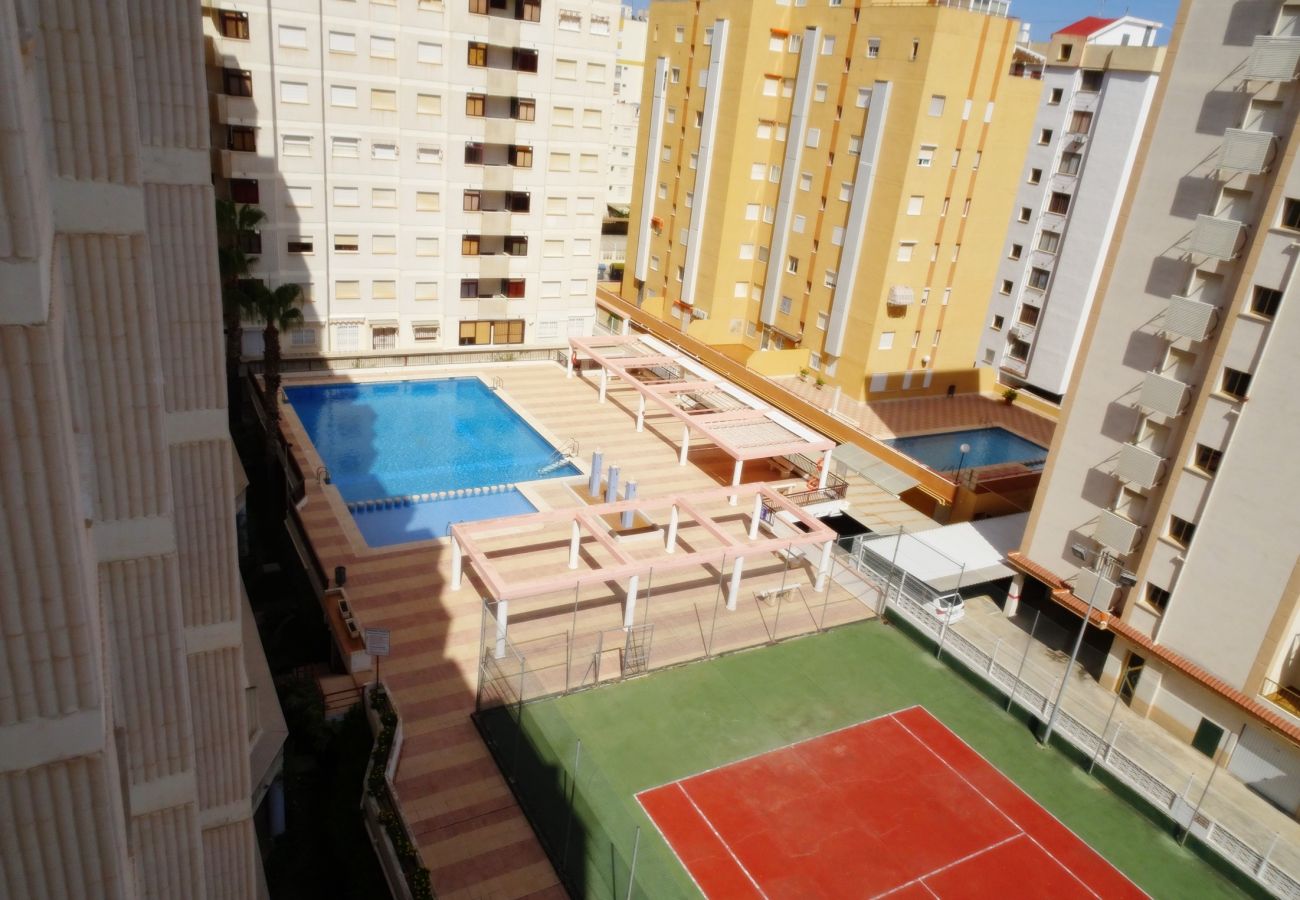 Apartamento en Gandia - SALINAS IV - 1ª - 7º - B