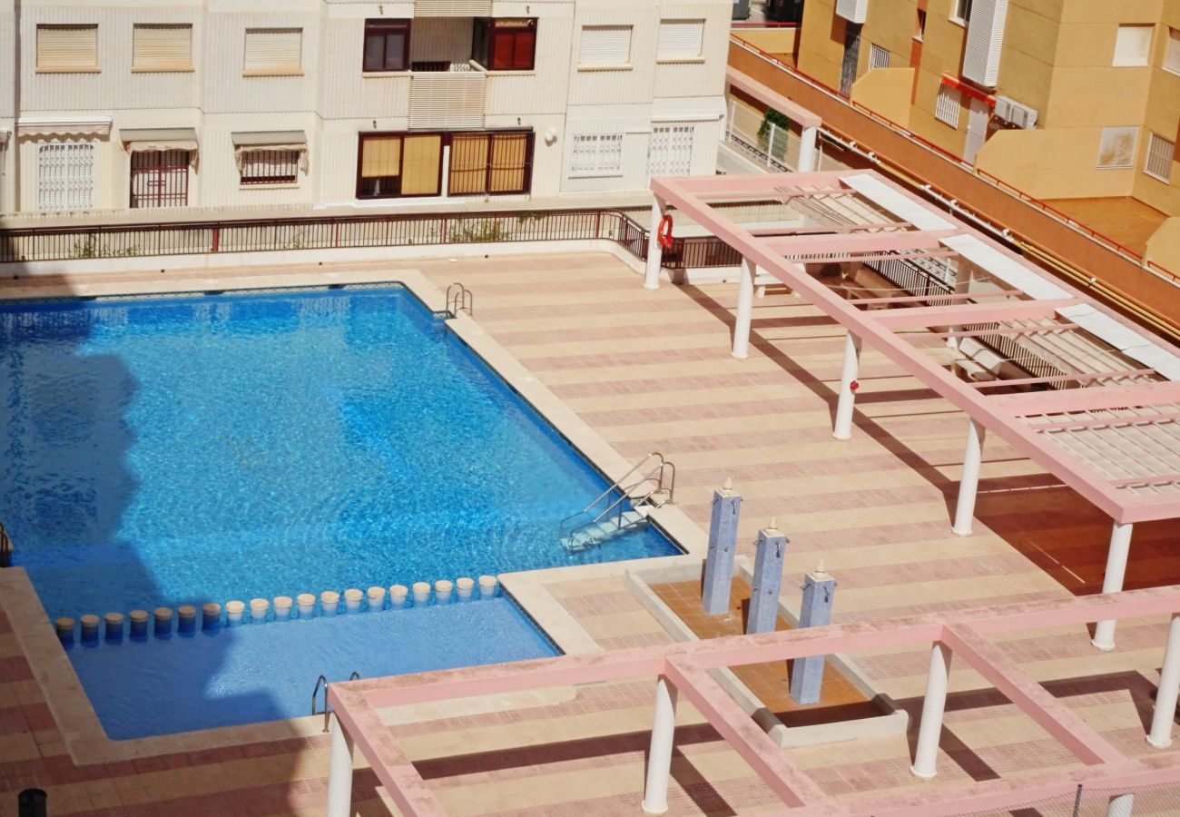 Apartamento en Gandia - SALINAS IV - 1ª - 7º - B