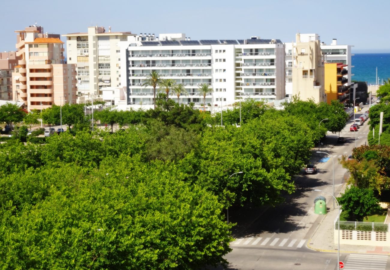 Apartamento en Gandia - SALINAS IV - 1ª - 7º - B