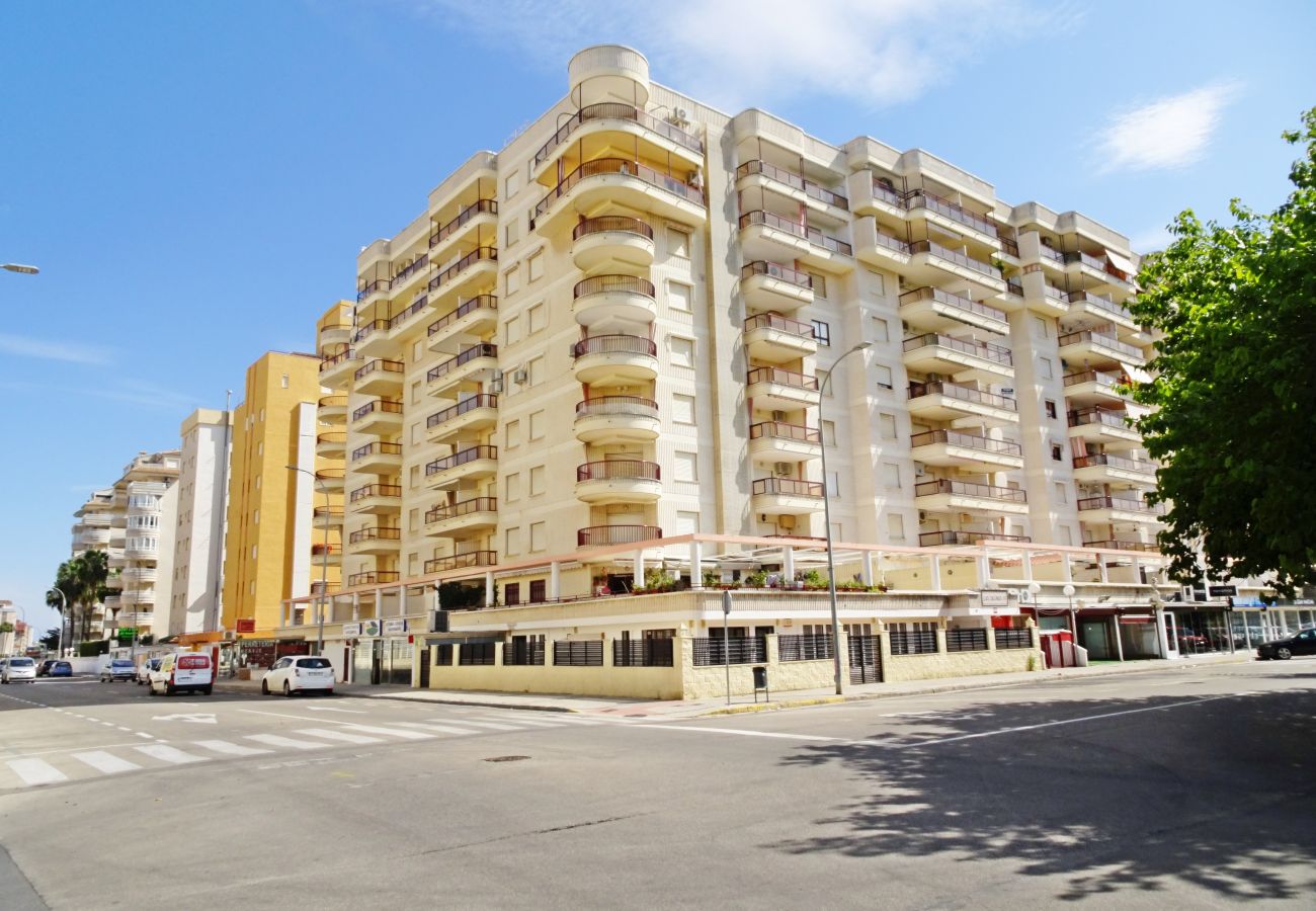 Apartamento en Gandia - SALINAS IV - 1ª - 7º - B