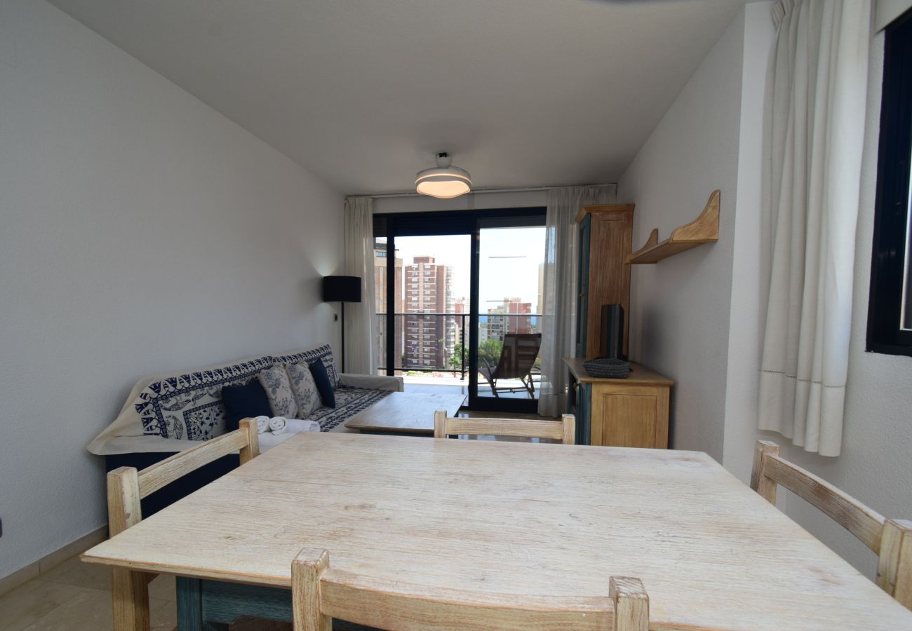 Apartamento en Benidorm - TORRE IPANEMA 6A