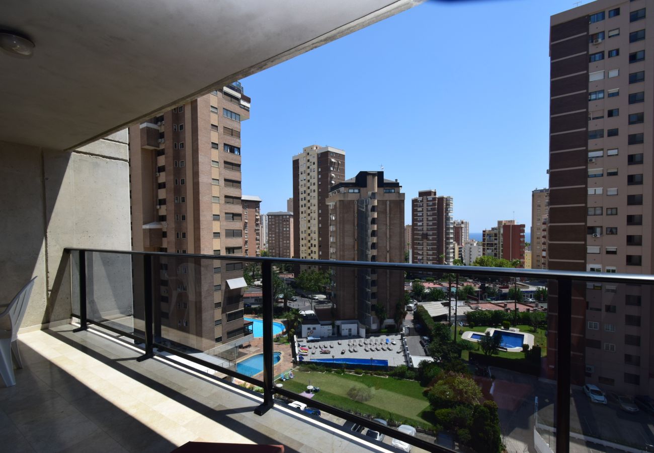 Apartamento en Benidorm - TORRE IPANEMA 6A