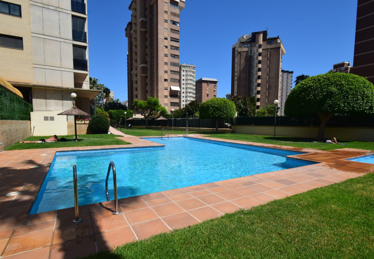 Apartamento en Benidorm - TORRE IPANEMA 6A
