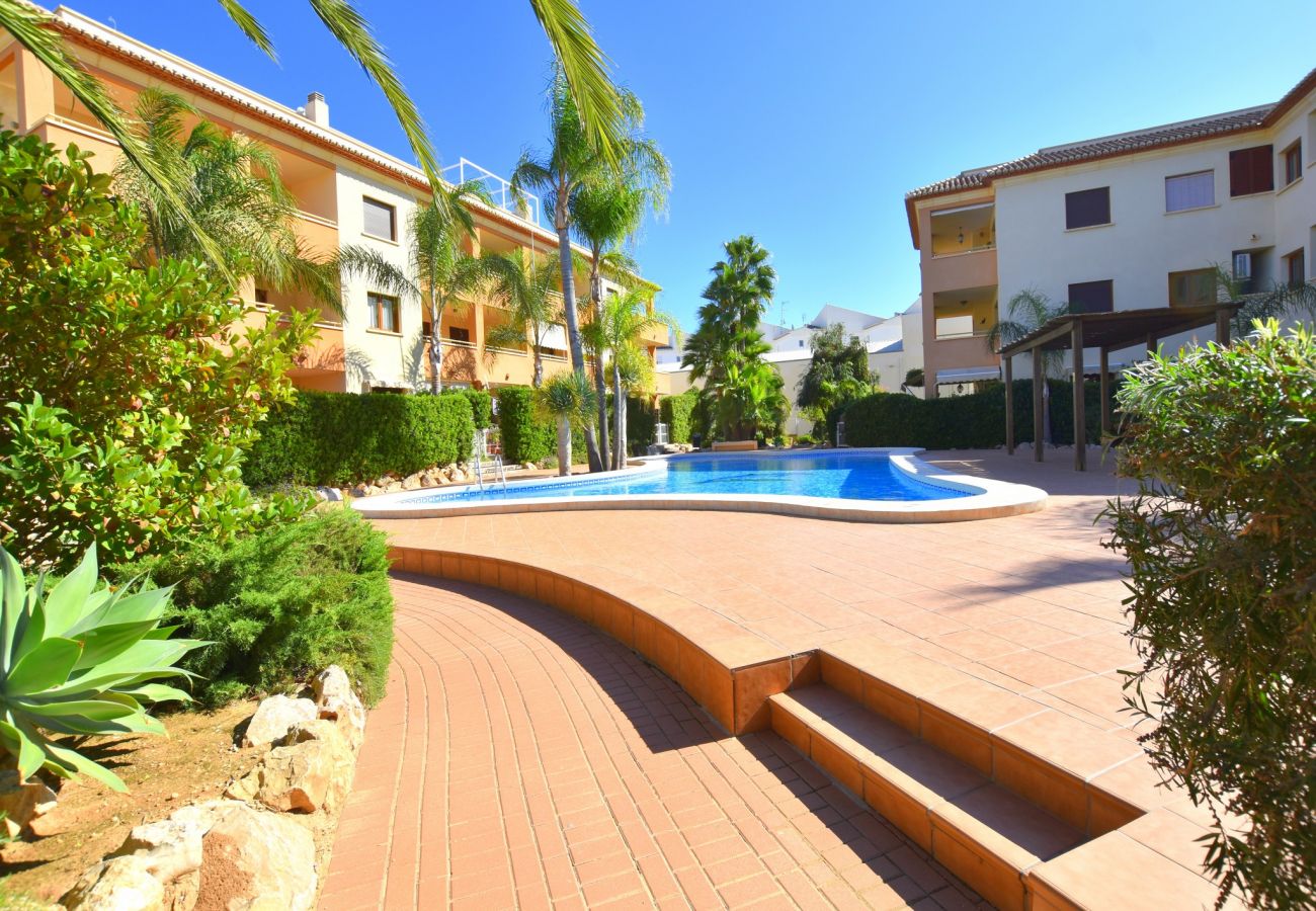 Apartment in Javea - Apartamento Benvinguts Javea - 5021