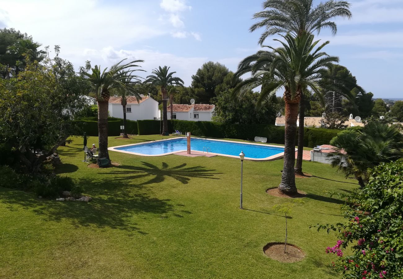 Apartment in Pedreguer - ALMENDROS 12A