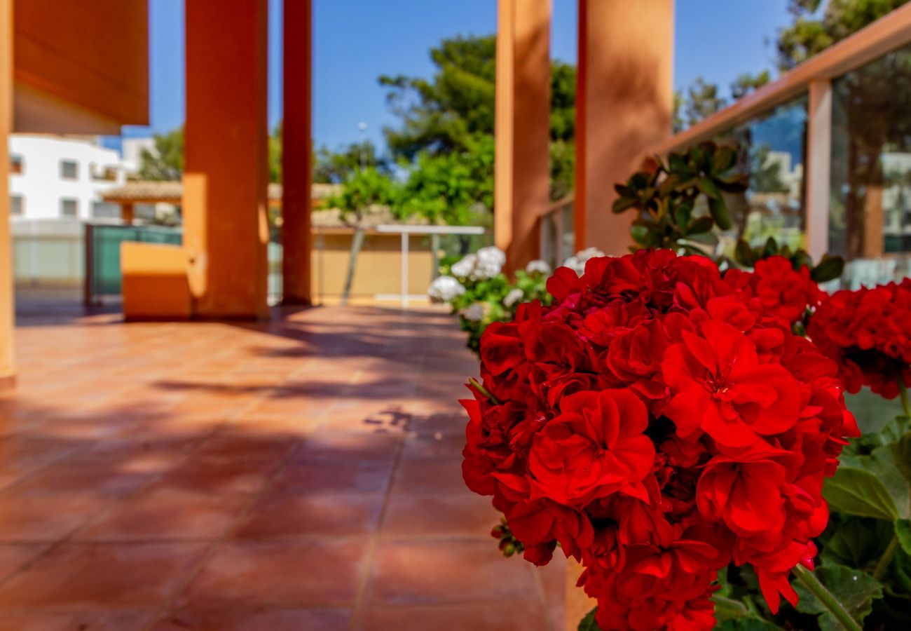 Apartment in Denia - DENIA-ATICO D-16