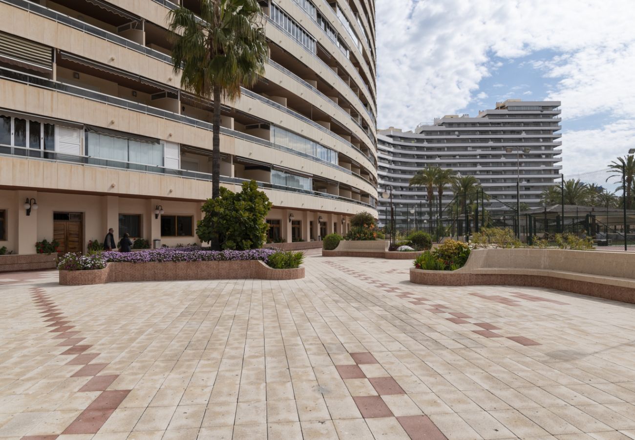 Apartment in Cullera - FLORAZAR 2, IX-7-B