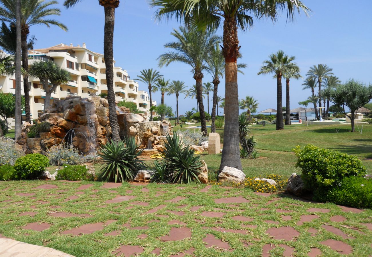 Apartment in Denia - PLAYA GRANDE C-3