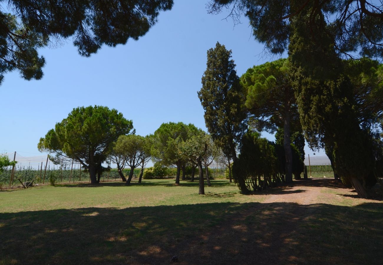 Cottage in Estartit - MAS DELS NOGUERS