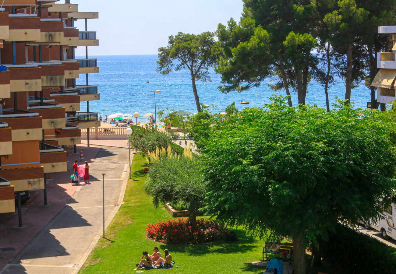 Apartment in Cambrils - Mas den Gran D 1 7