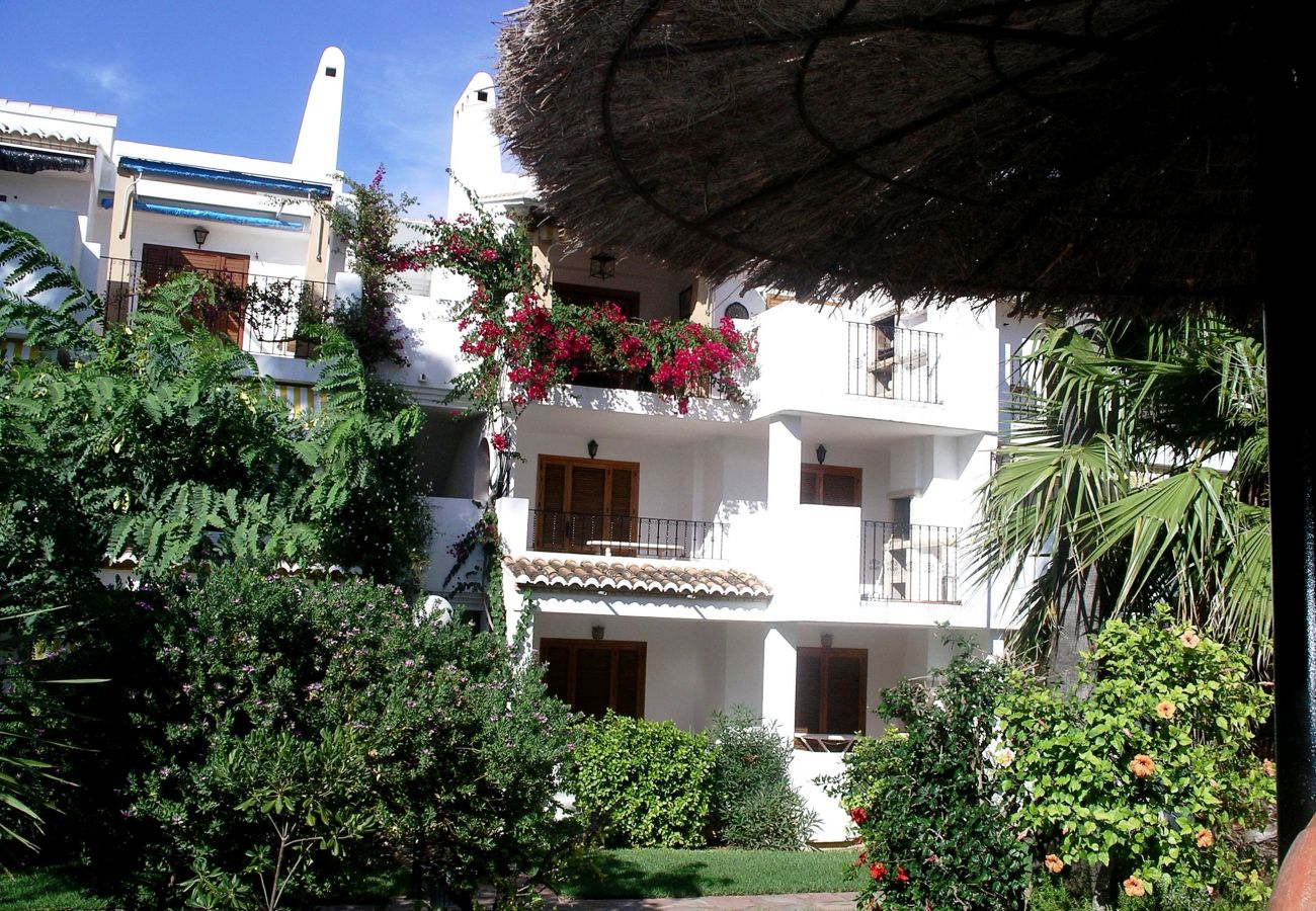 Apartment in Denia - 121 Las Velas