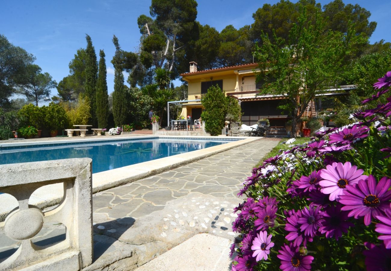 Apartment in Estartit - LOS PINOS 2-T