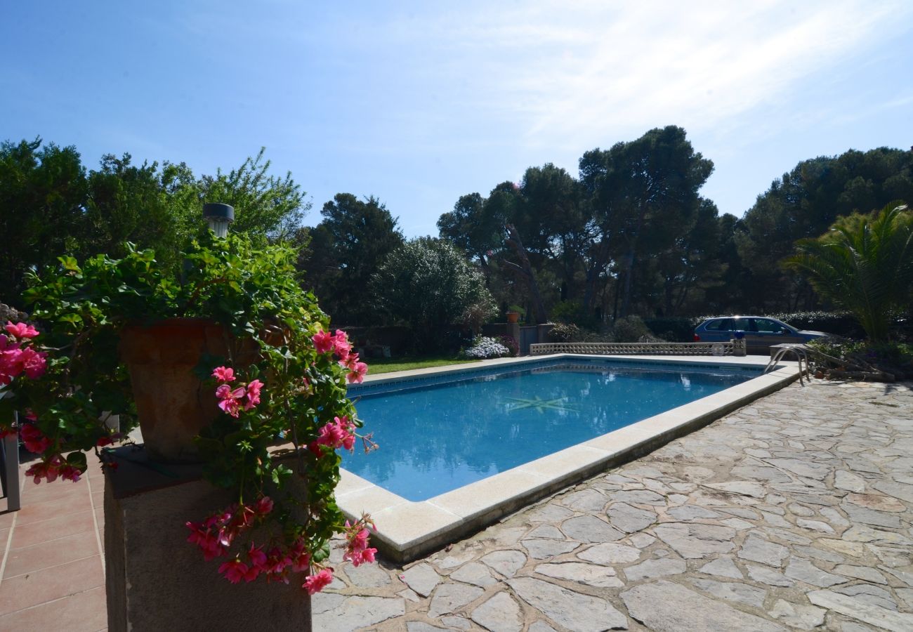 Apartment in Estartit - LOS PINOS 2-T