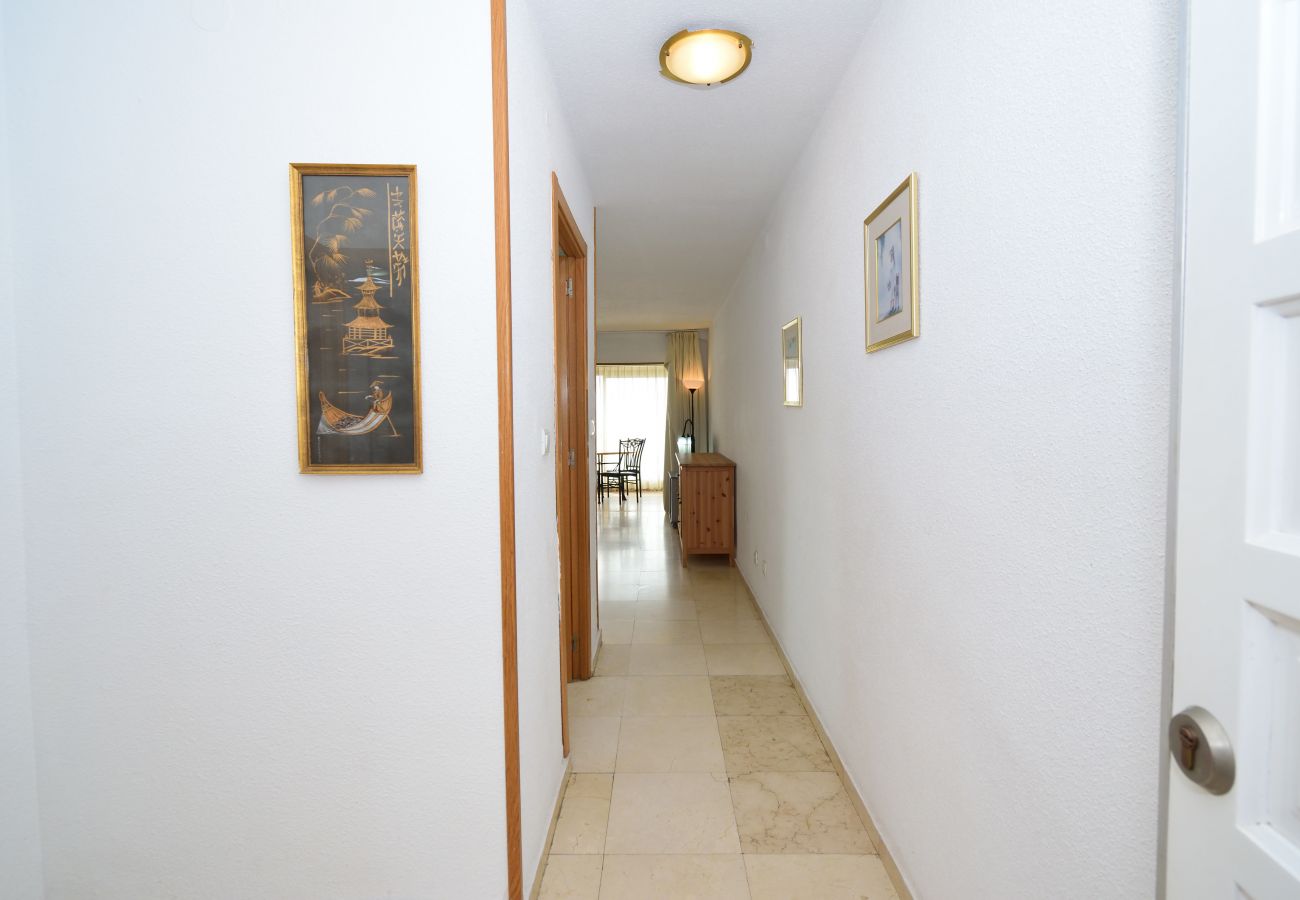 Apartment in Benidorm - CABALLOS 14H