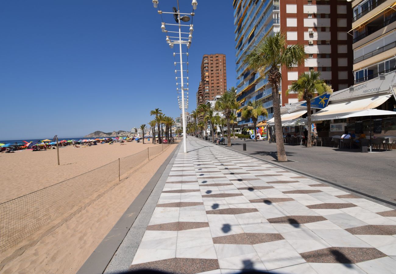 Studio in Benidorm - MIRAMAR PLAYA 6-3