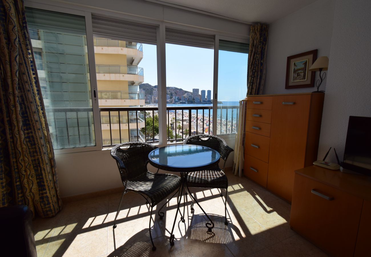 Studio in Benidorm - MIRAMAR PLAYA 6-3