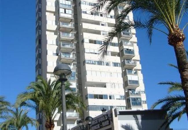 Apartment in Benidorm - KENNEDY 2 16A