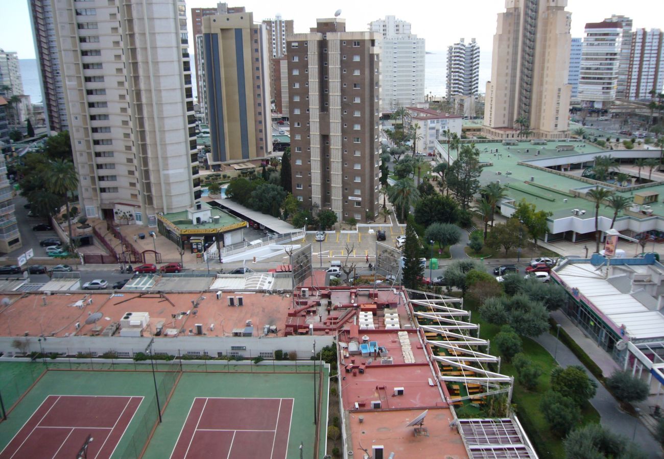 Apartment in Benidorm - GEMELOS 2 11E2