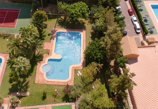 Apartment in Benidorm - GEMELOS 12 2D1