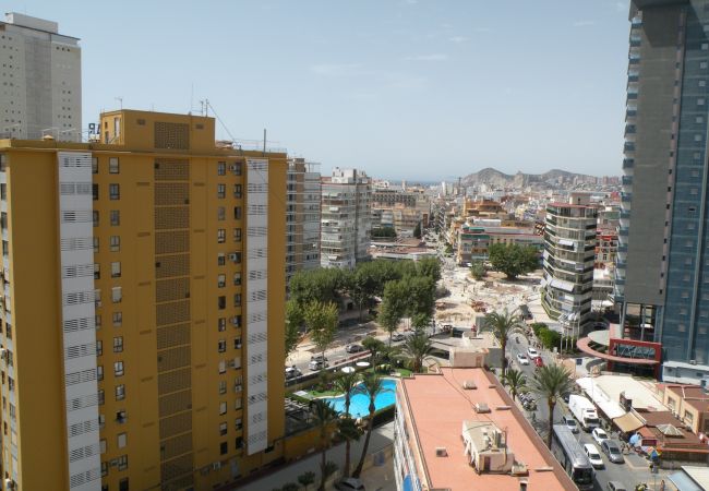 Apartment in Benidorm - LOS PINOS 12B