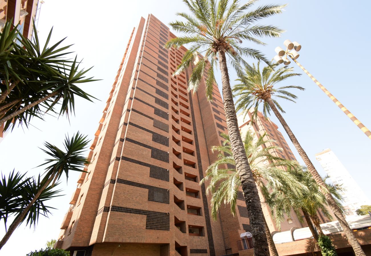 Apartment in Benidorm - PRINCIPADO ARENA 18C