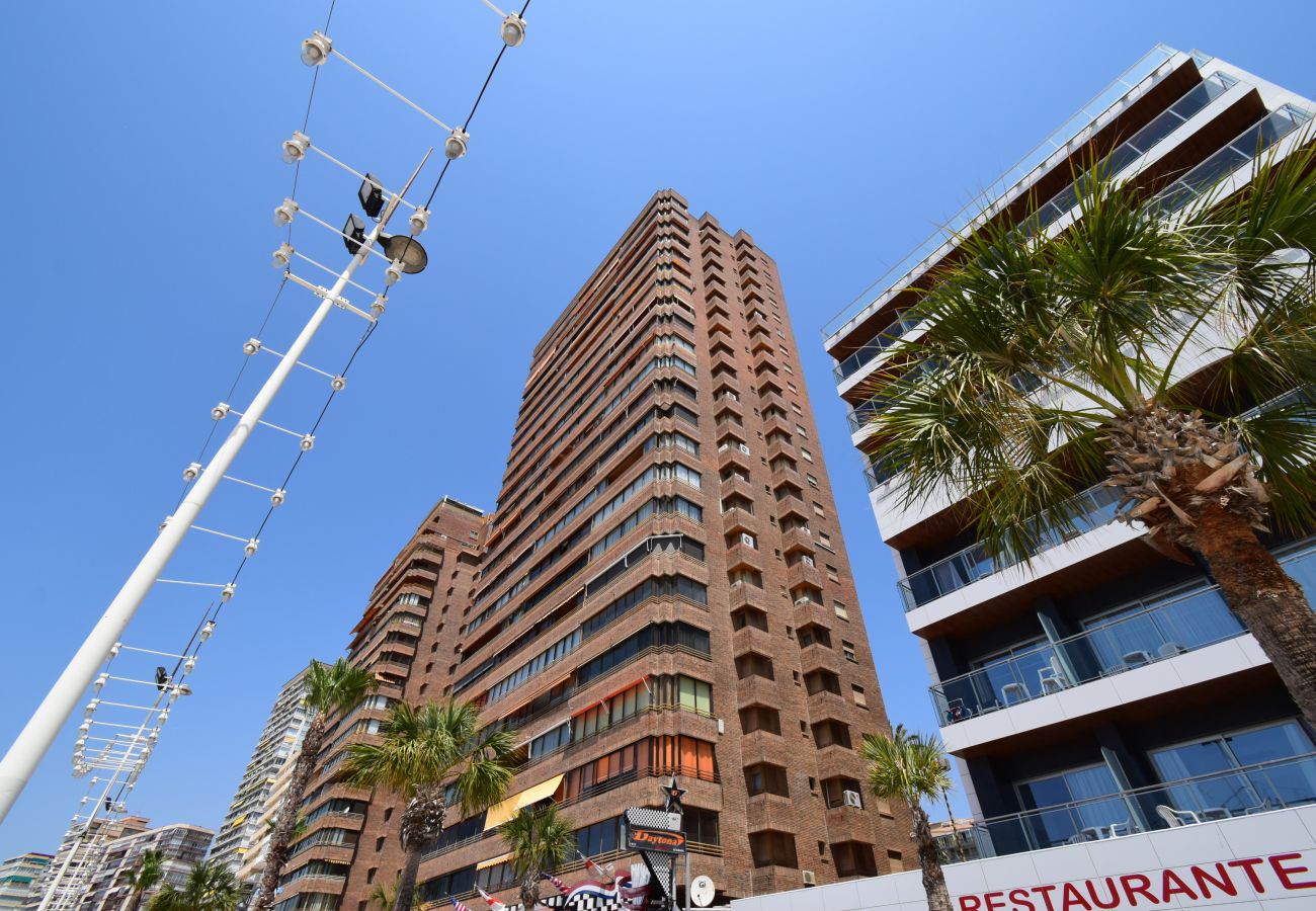 Apartment in Benidorm - PRINCIPADO ARENA 18C