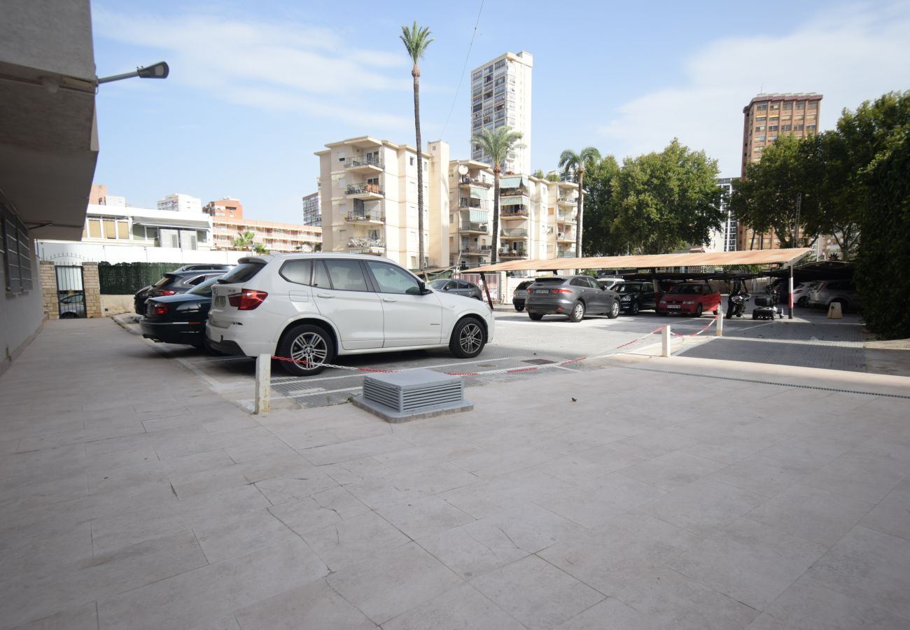 Apartment in Benidorm - TOR SERENA 15C