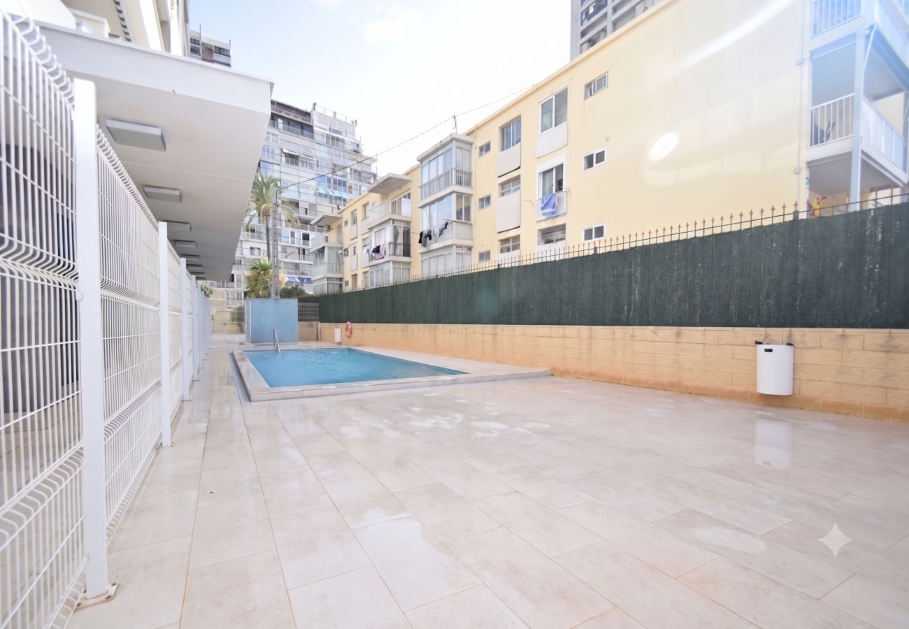 Apartment in Benidorm - TOR SERENA 15C