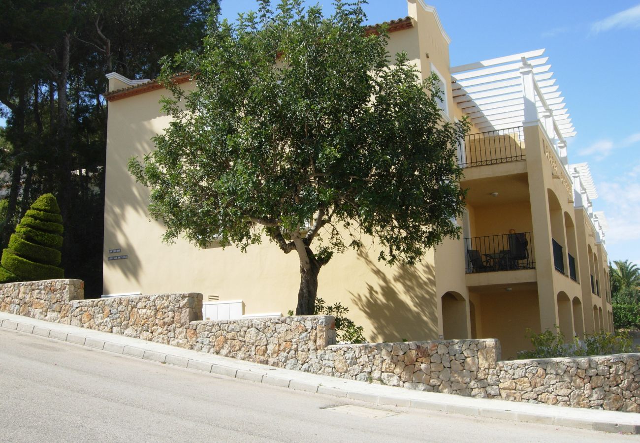 serviden, rent, la sella, deniaplaya.com, rural holidays, charming hotel, hiking, tennis, sakya, albarda garden