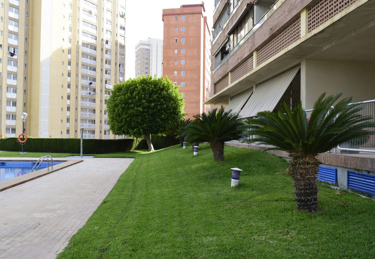 Apartment in Benidorm - PARAISO ESPERANTO 4B