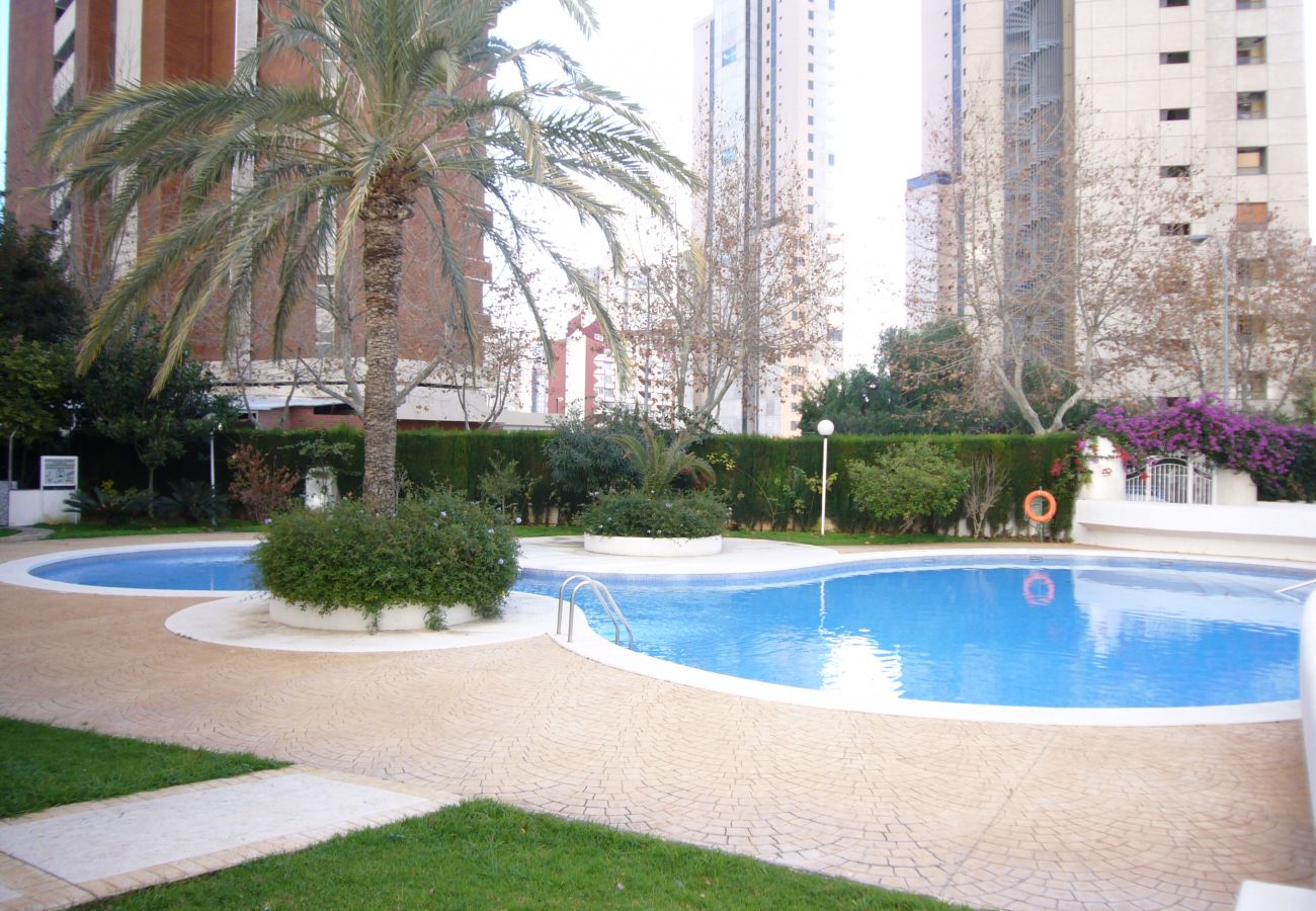 Apartment in Benidorm - PARQUE EUROPA 13D2