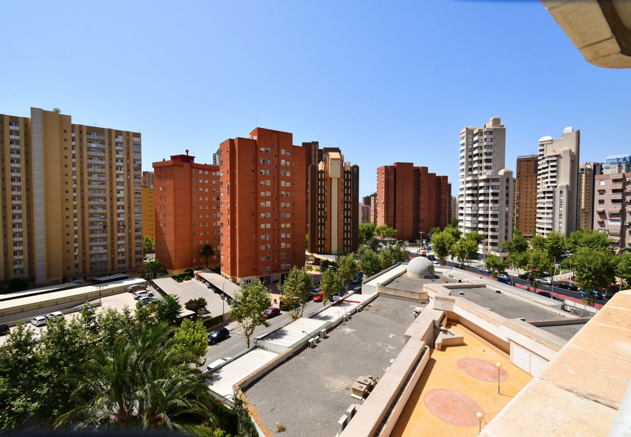 Apartment in Benidorm - PARQUE EUROPA 13D2