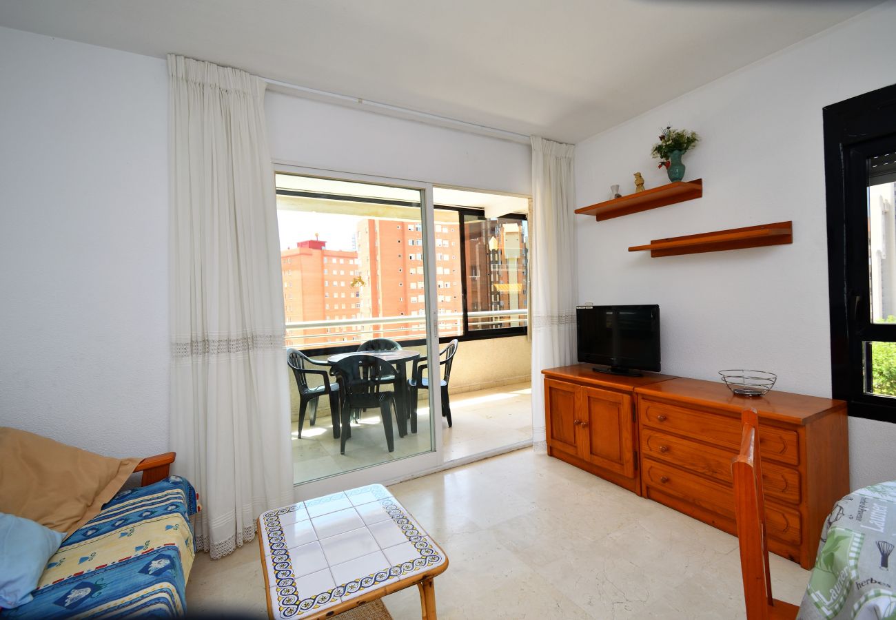 Apartment in Benidorm - PARQUE EUROPA 13D2