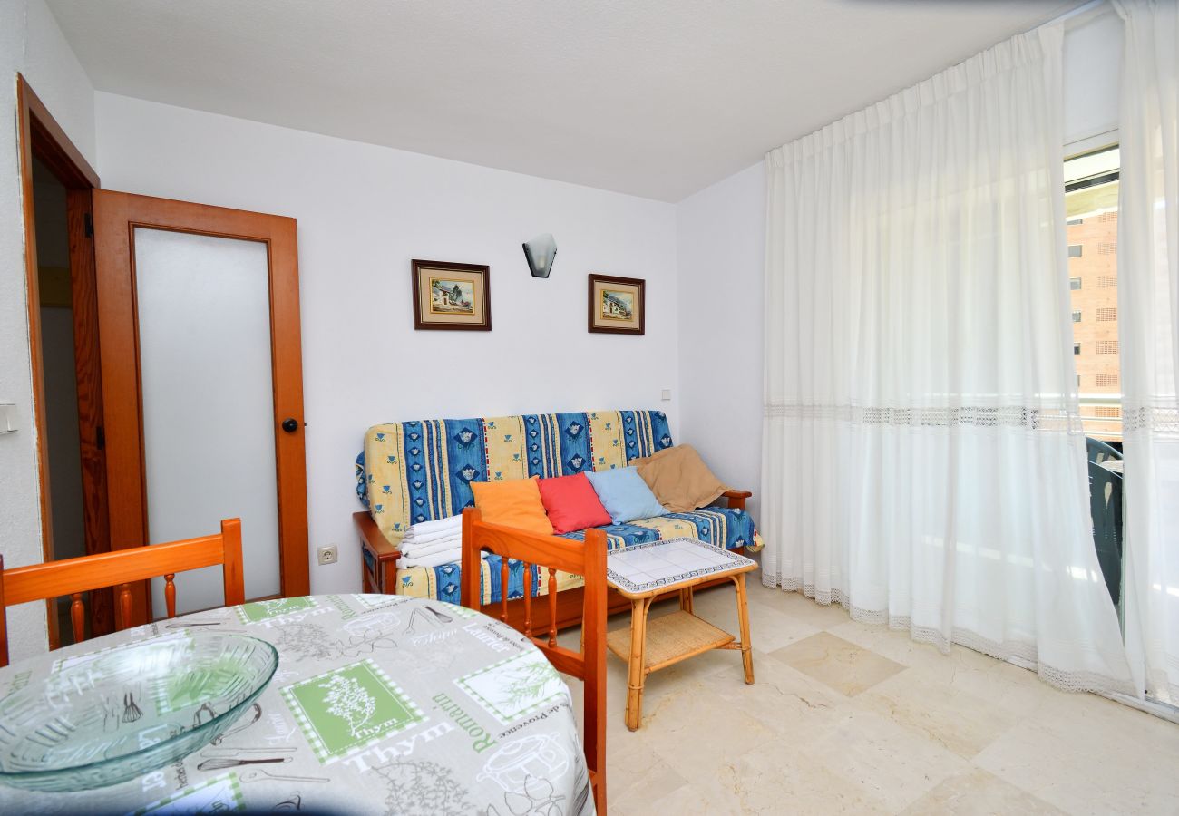 Apartment in Benidorm - PARQUE EUROPA 13D2